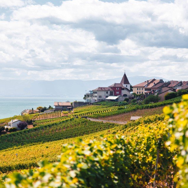Paysage suisse